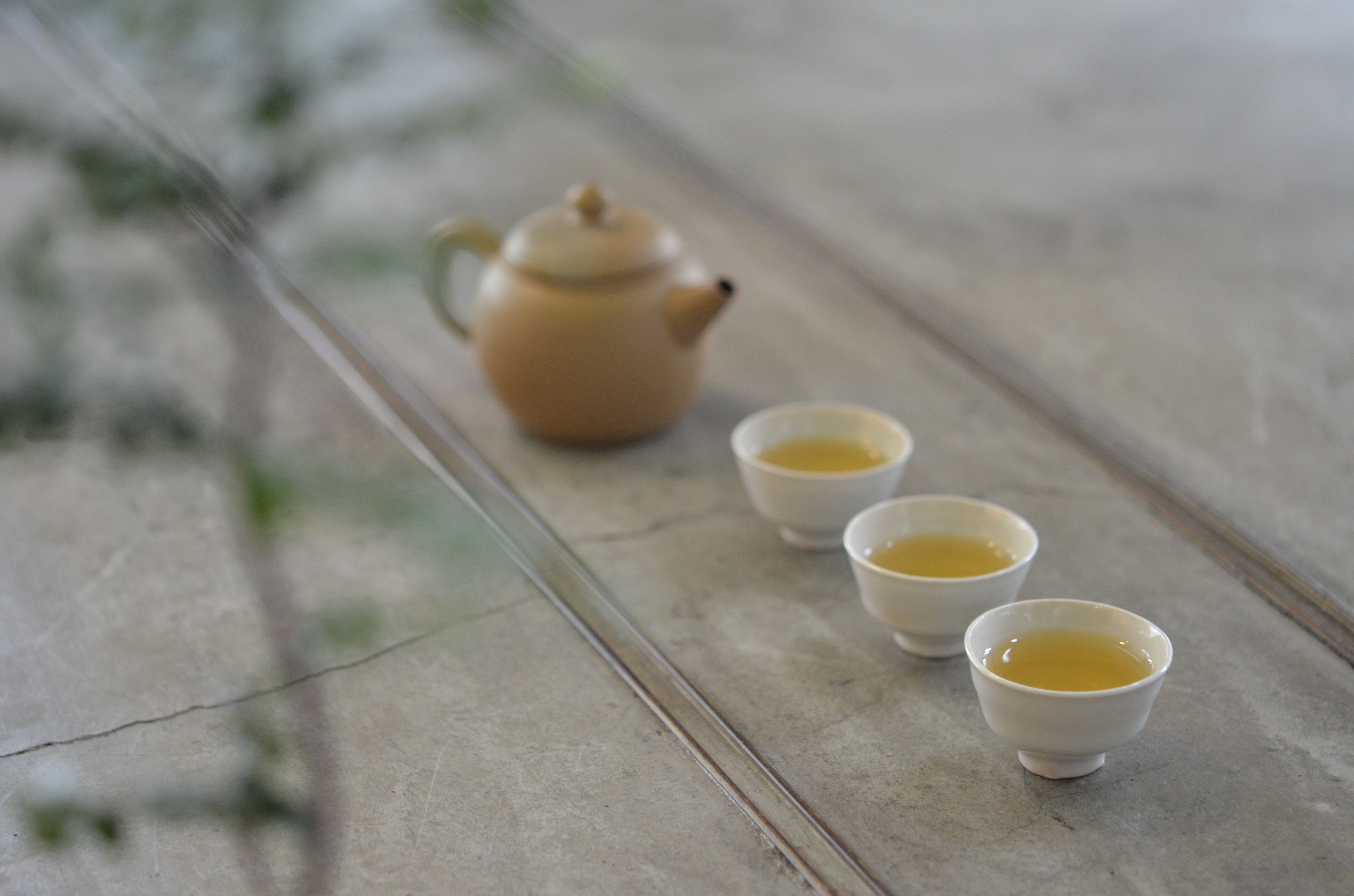 鐵道烏龍｜秋｜中焙火（ 蜜香型｜ 懷舊款） TieDao-Autumn Oolong