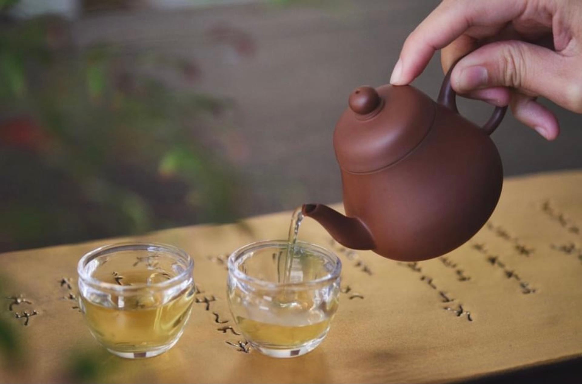 紫金烏龍｜春｜ 輕焙火 （花香型｜ 紅水烏龍款）ZinJin-Exquisite Oolong