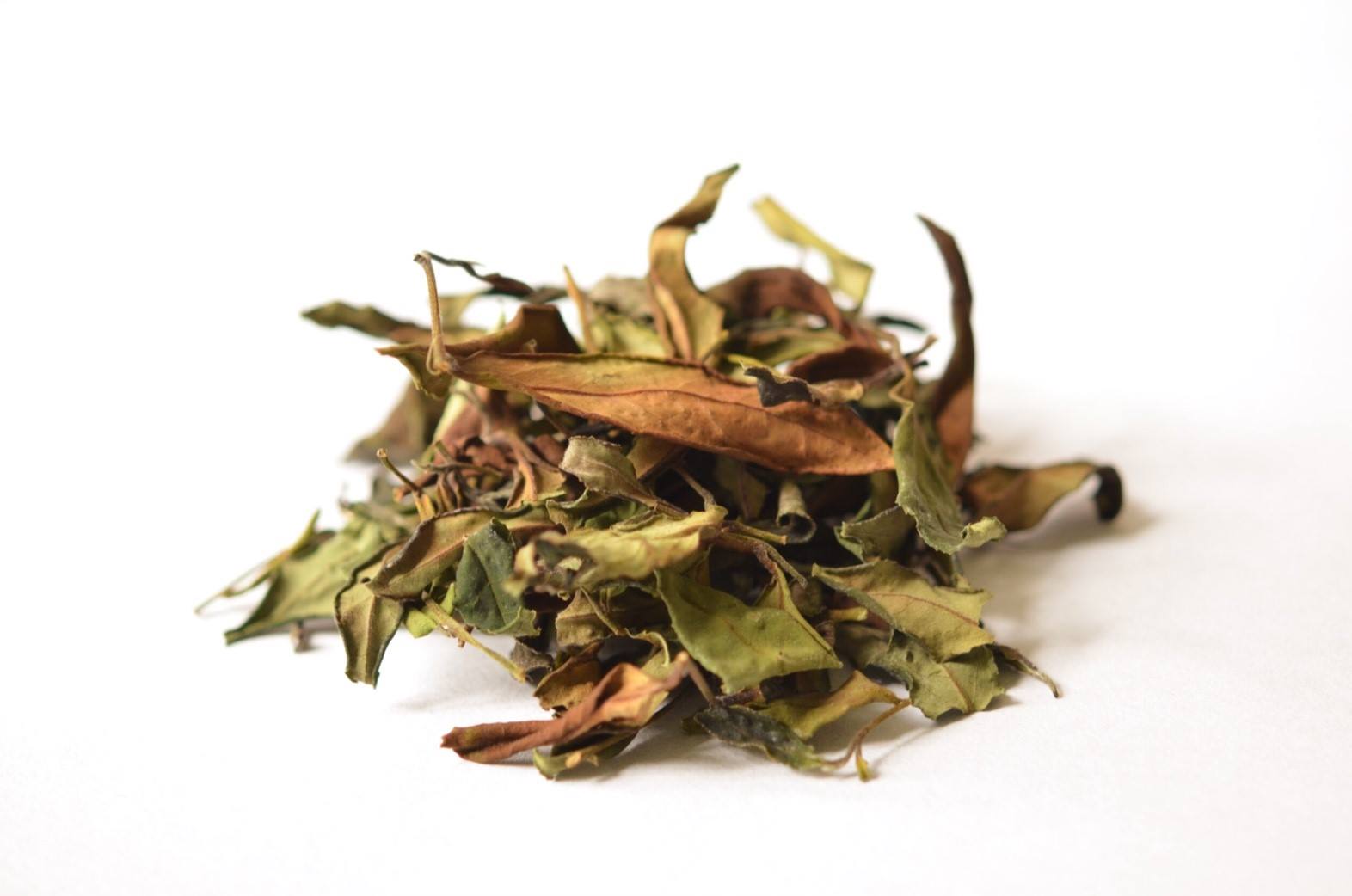 阿里山白茶｜春 (清甜木香型｜ 製茶師手作款）Alishan White Tea