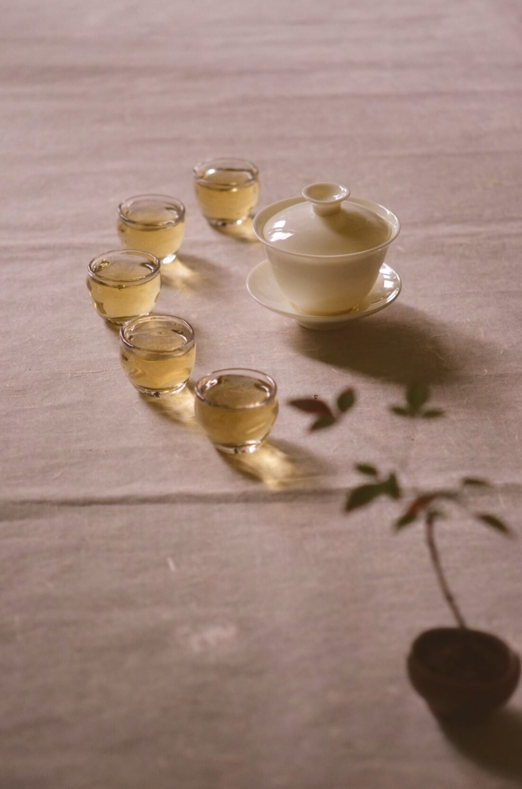 玫瑰金萱（台灣特選有機玫瑰）Rose Jin Xuan