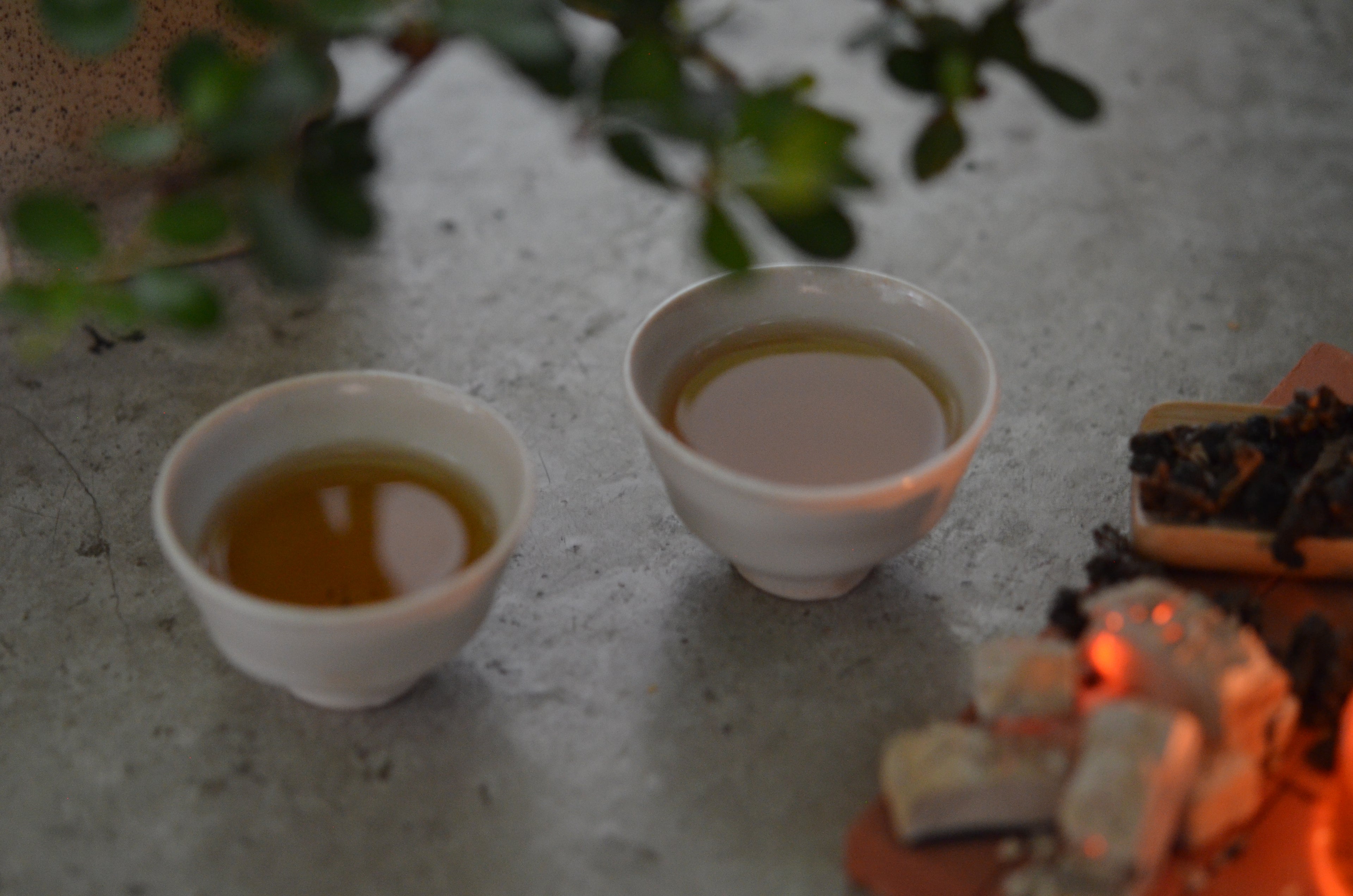 高山凍頂｜春（花果香型｜古法工藝） Dong Ding