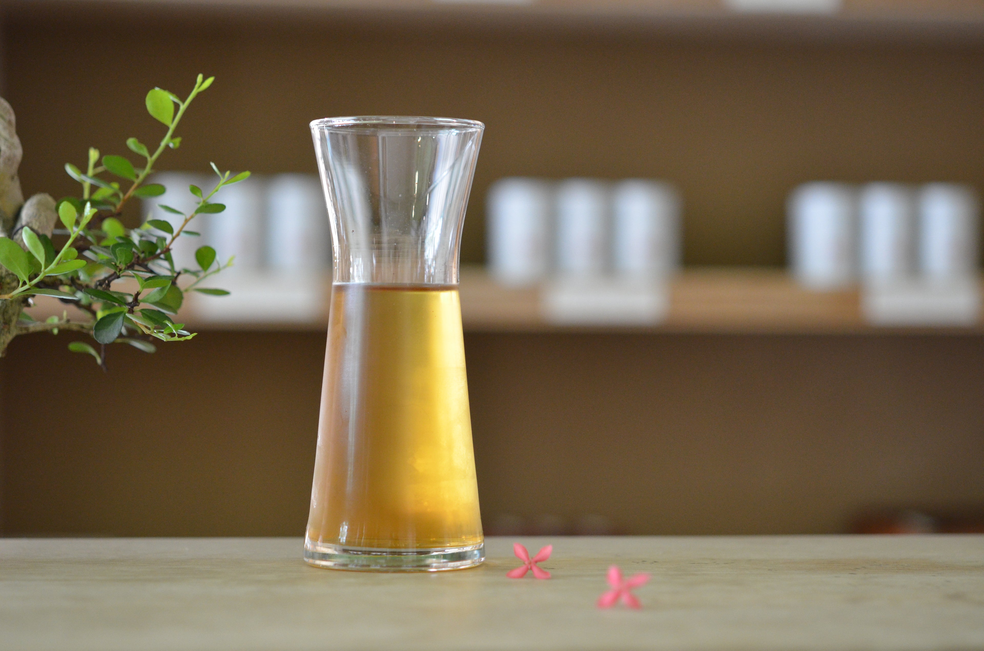 佳葉龍茶立體袋茶 Gaba Oolong-Tea Bag